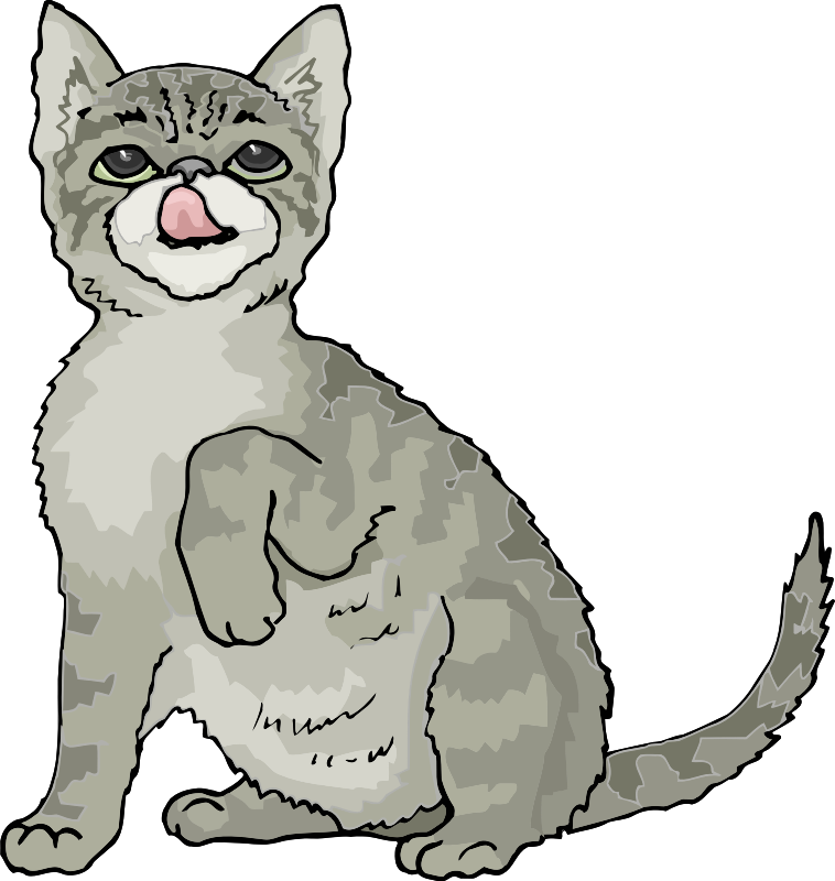 It's a cat's life 11