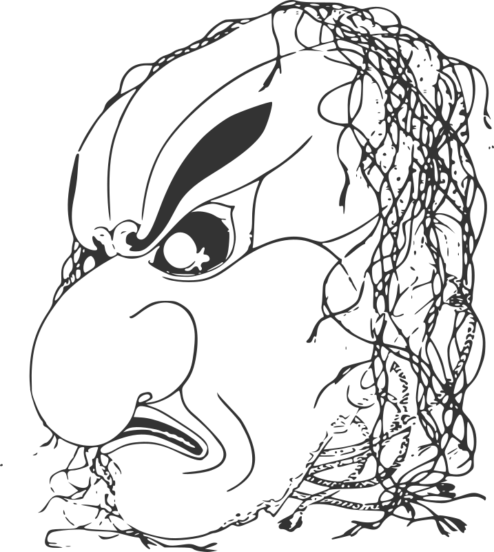 D'Idzoukou Shima
