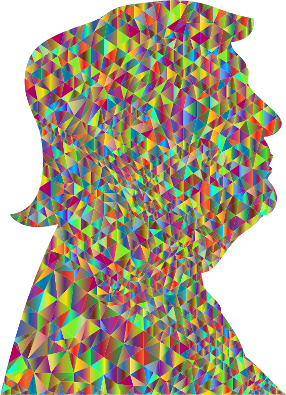 Polychromatic Low Poly Trump Profile Silhouette