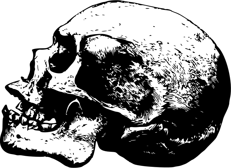 Skull 18