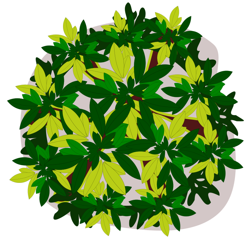 tree-08A