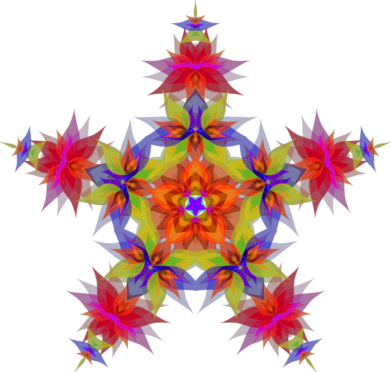 Abstract Flowers Star