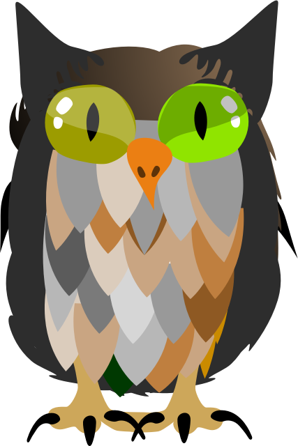 funny owl