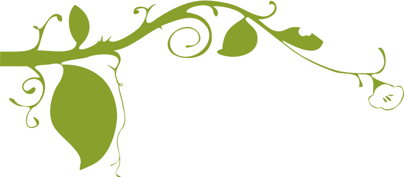 Ornamental plant
