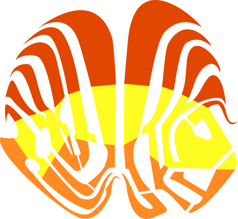 flugi lugi fish