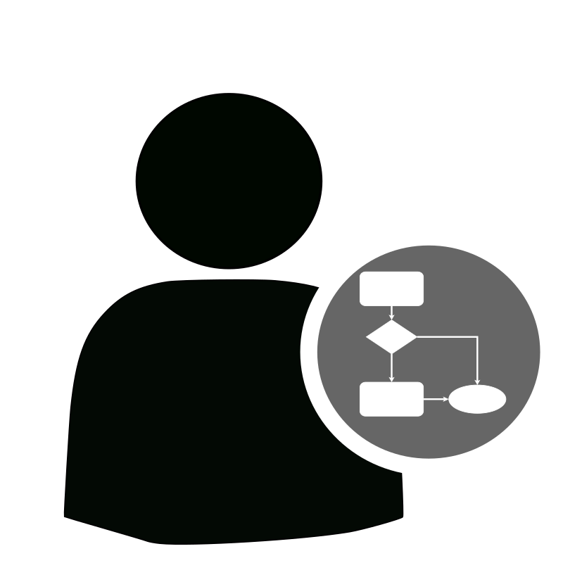 user workflow
