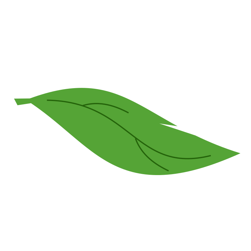 Leaf
