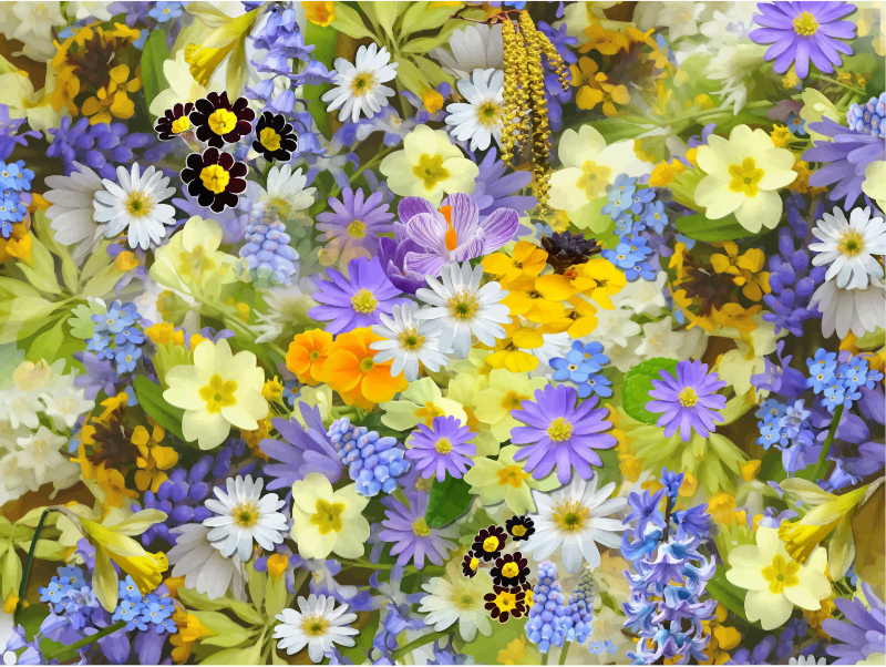 Floral background 8