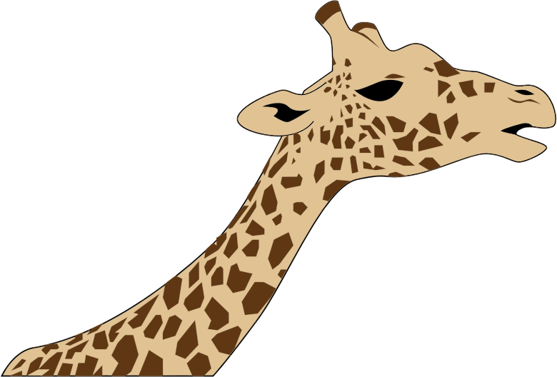 Giraffe Head
