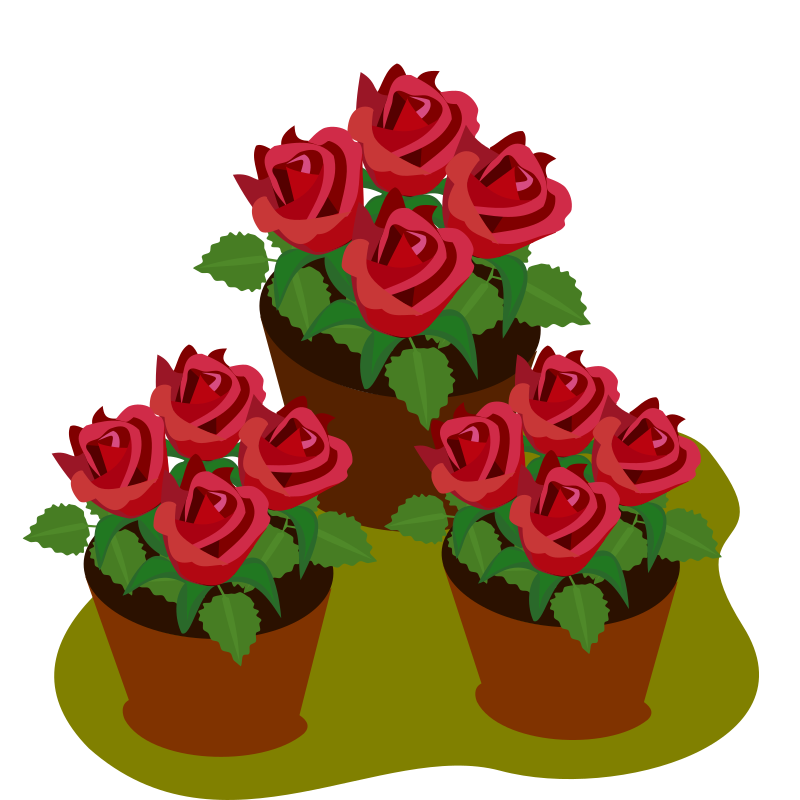 flower 34A