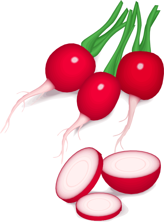 radishes