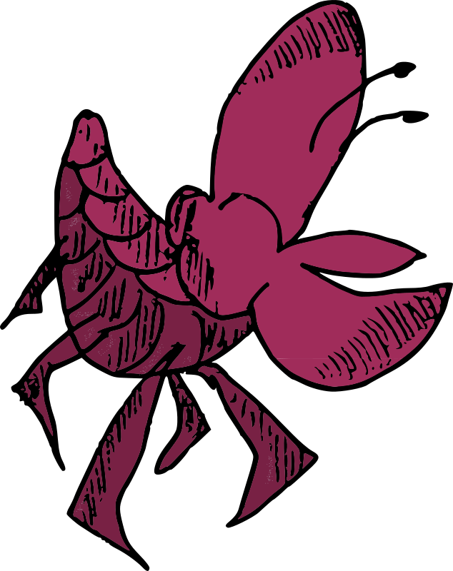 Kinda Shelfish