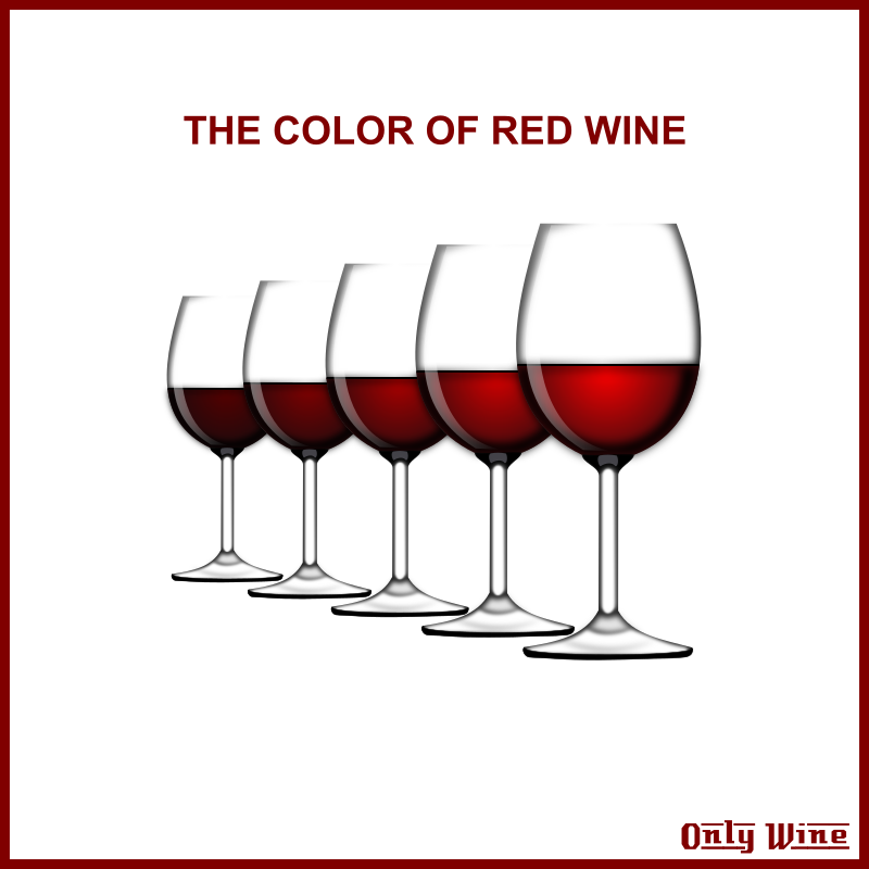 Only Wine 13