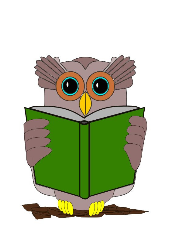 The owl is reading a book
