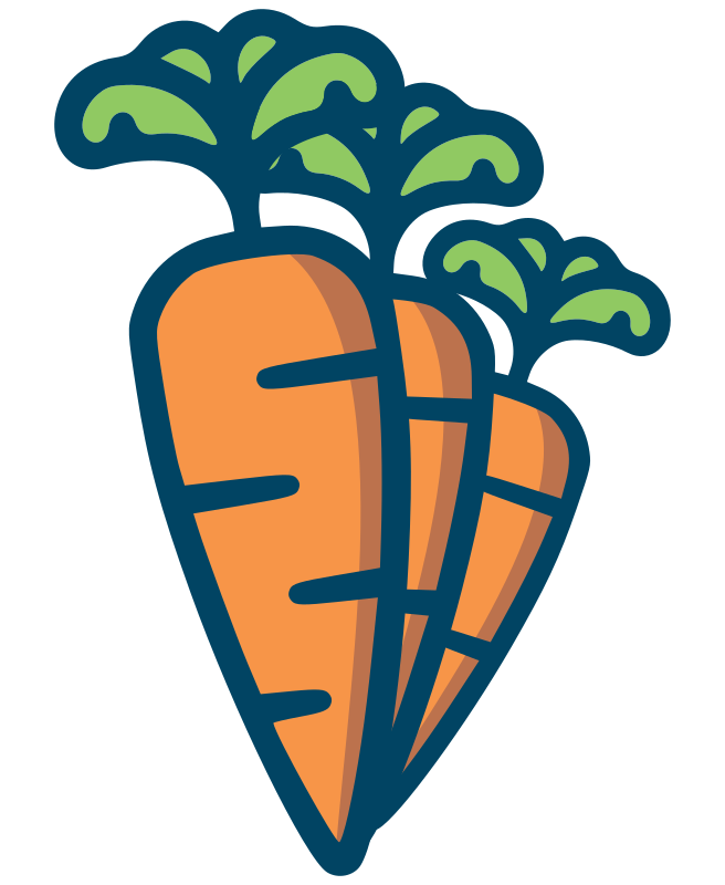 CAROTA