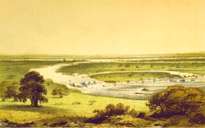 African scene 9 - Rapids of the Niger at Em-N-Ishib