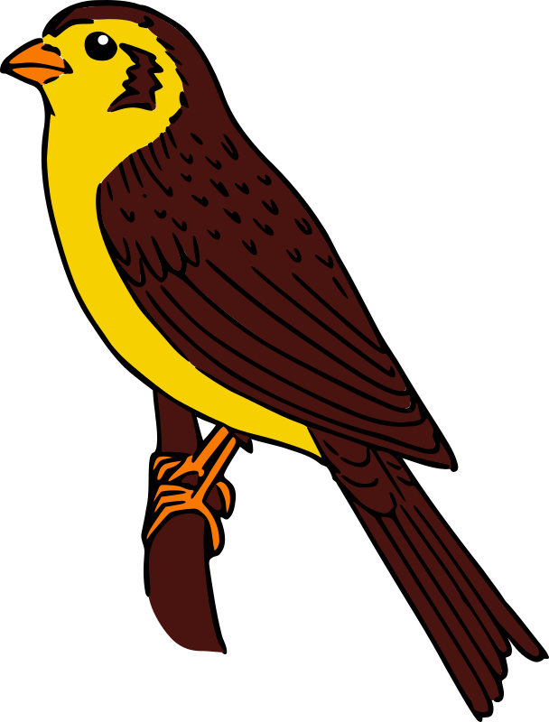 Colored Sparrow