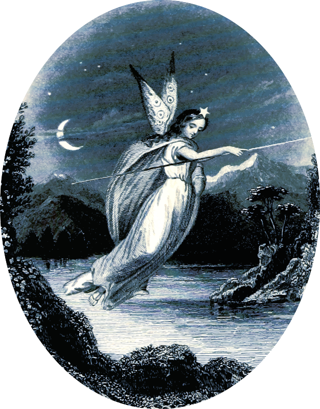 Angel 7