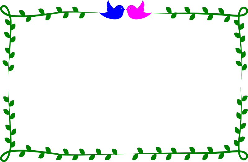 Bird frame (colour)