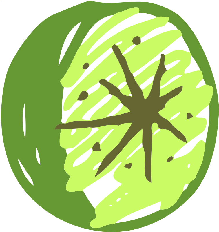 Sketched lime