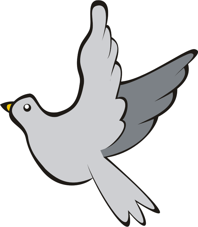 Bird in flight 3