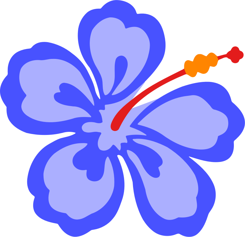 Flower 180 (colour)