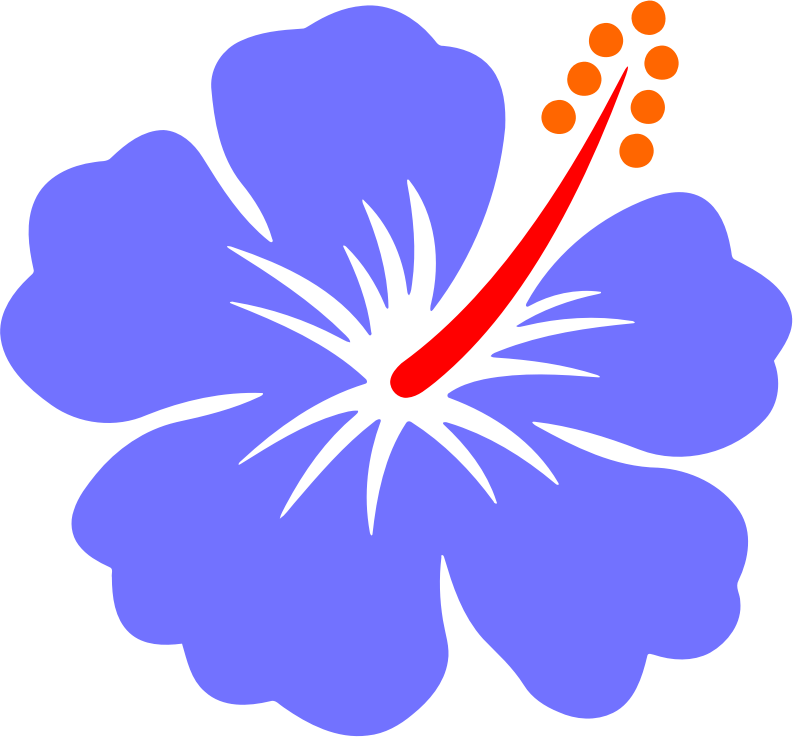 Flower 188 (colour)