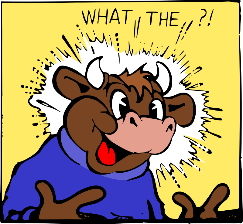 What The ?!? Cow