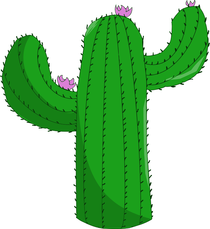 Cactus 4