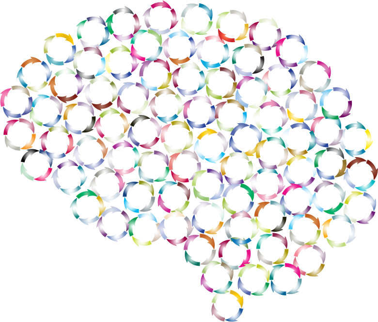 Ruminating Brain Prismatic