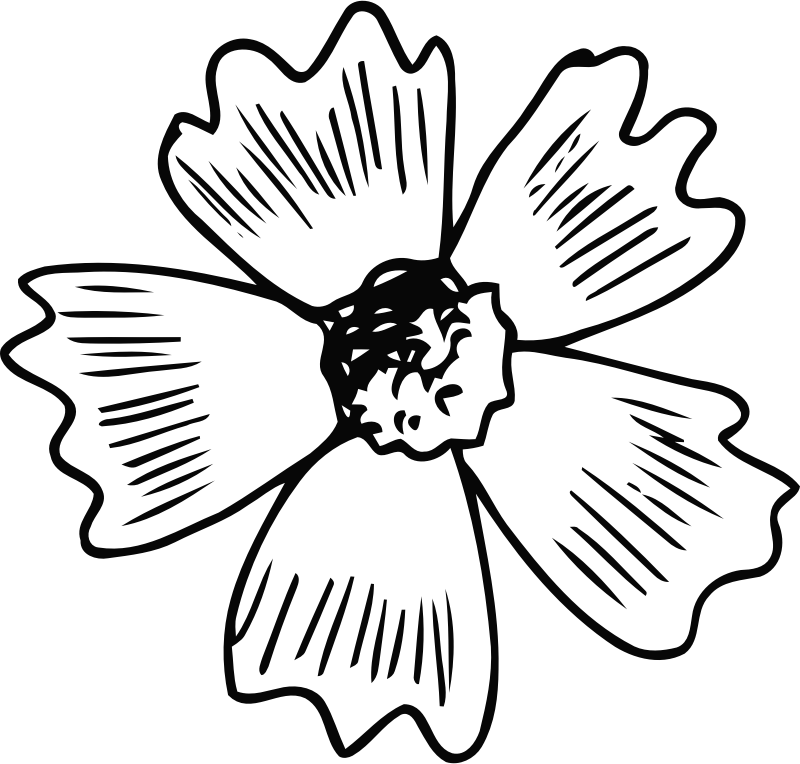 Flower 196