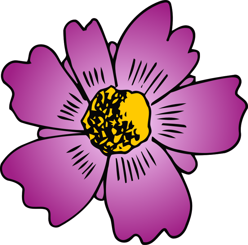 Flower 199 (colour)