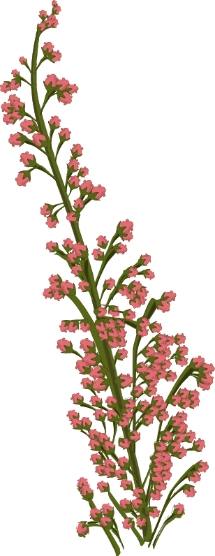 Flower 202