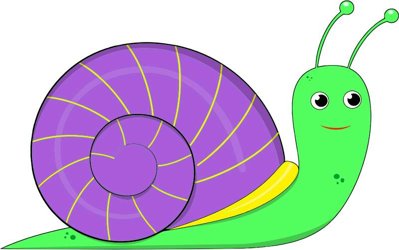 Snail 8