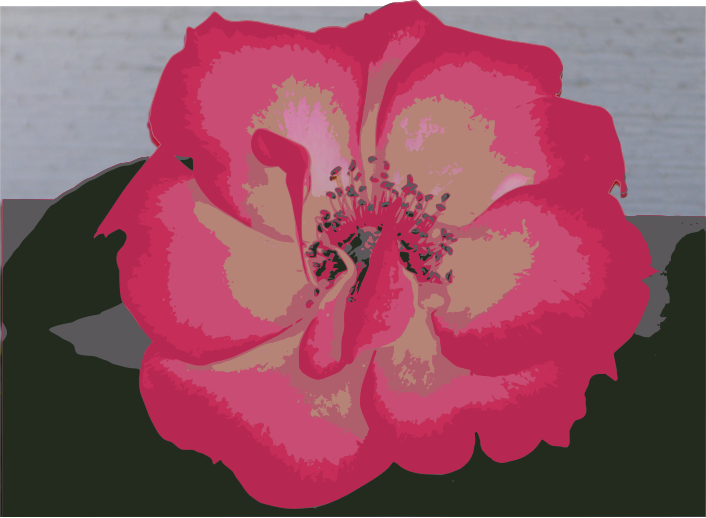 Psalm22-27 Flower Pic