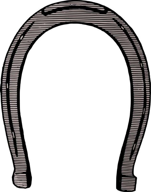 Lucky Horse Shoe - Colour