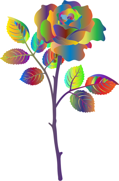 Polyprismatic Rose