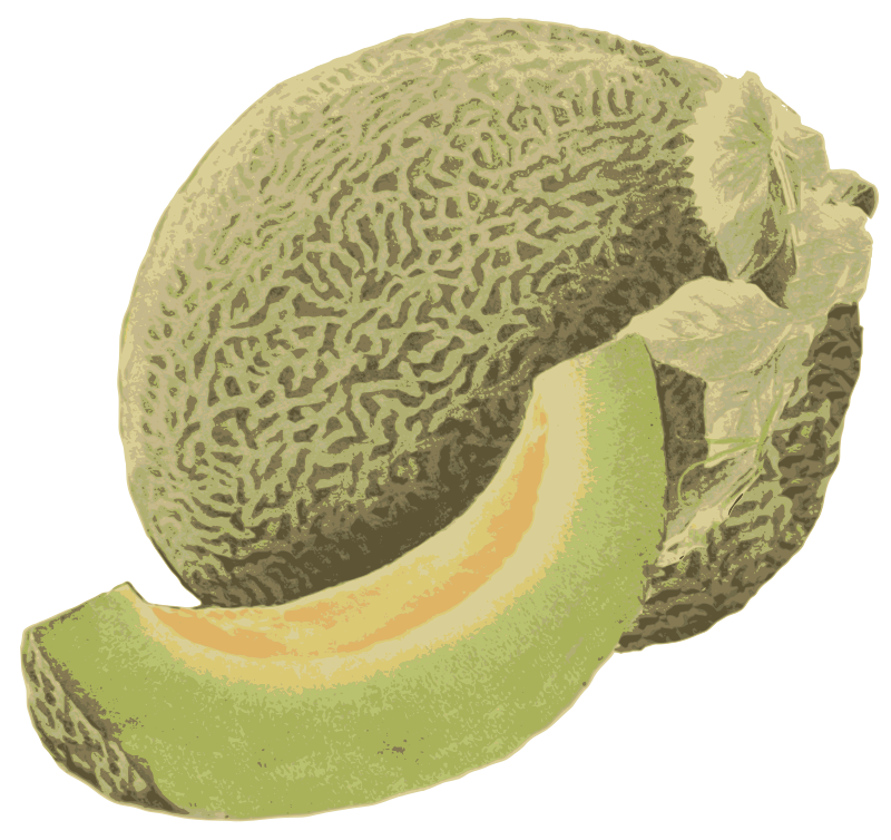 Honeydew Melon