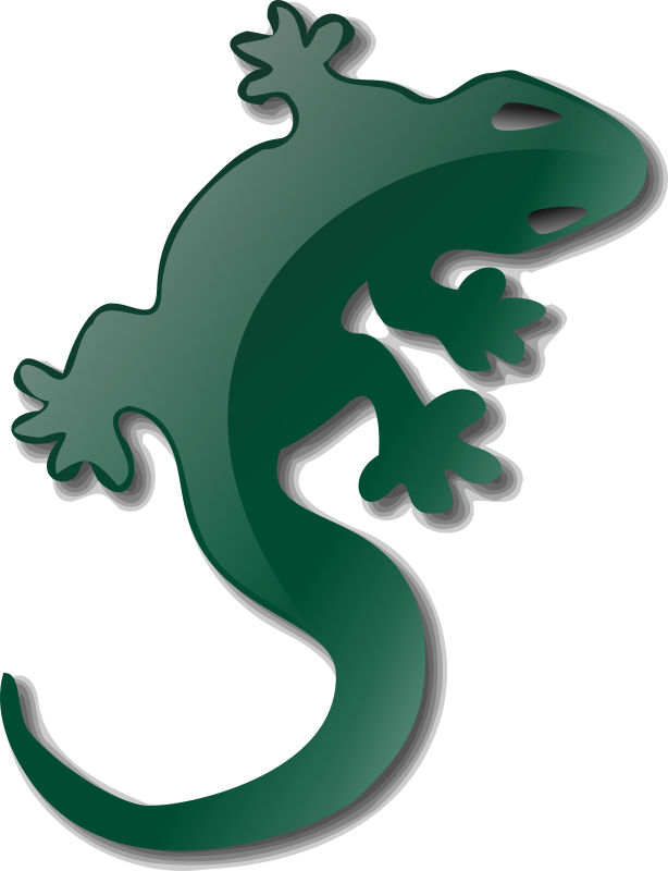 Lizard