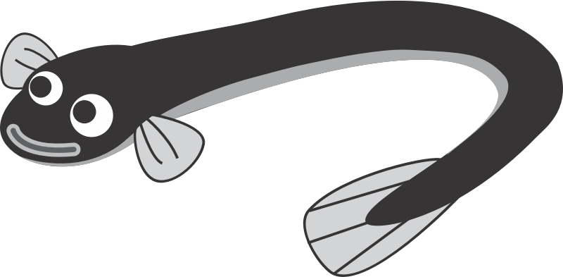 Eel