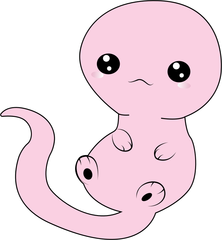 Azolotl By TinaMatzinger