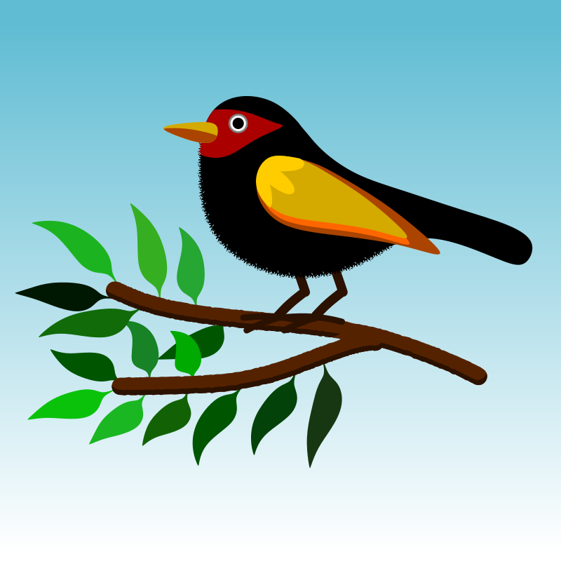 bird010120191