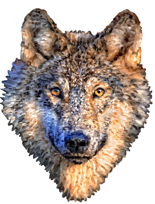 wolf head no bg