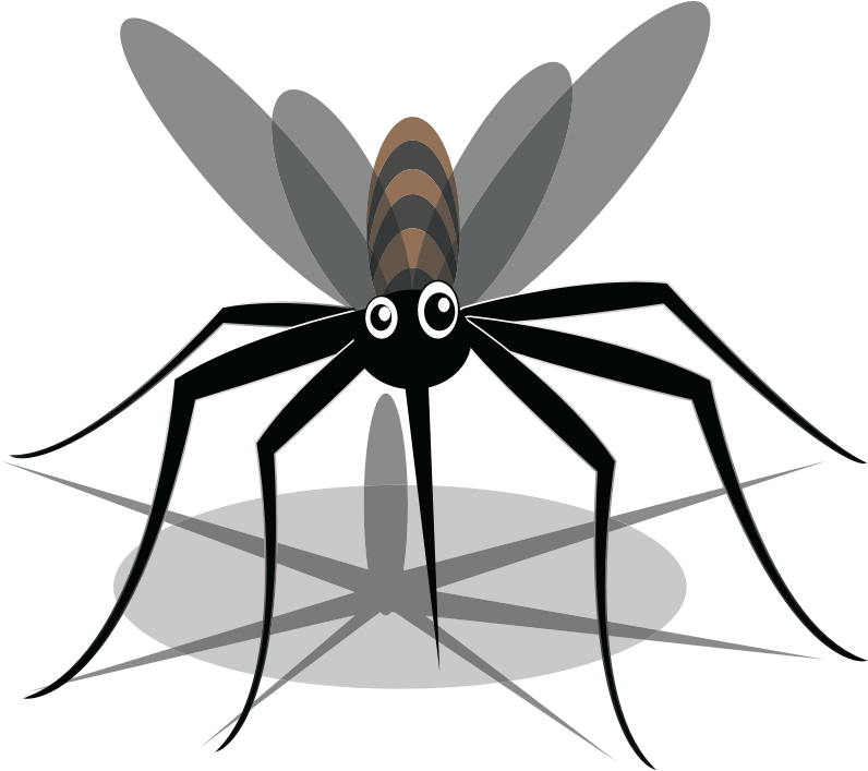 Mosquito (#3)
