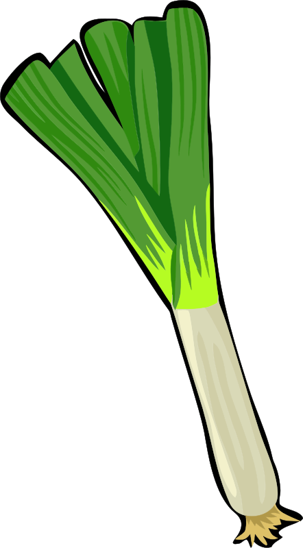 Spring Onion