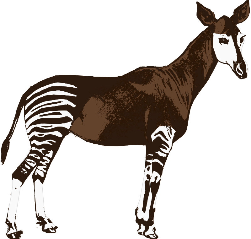 Okapi