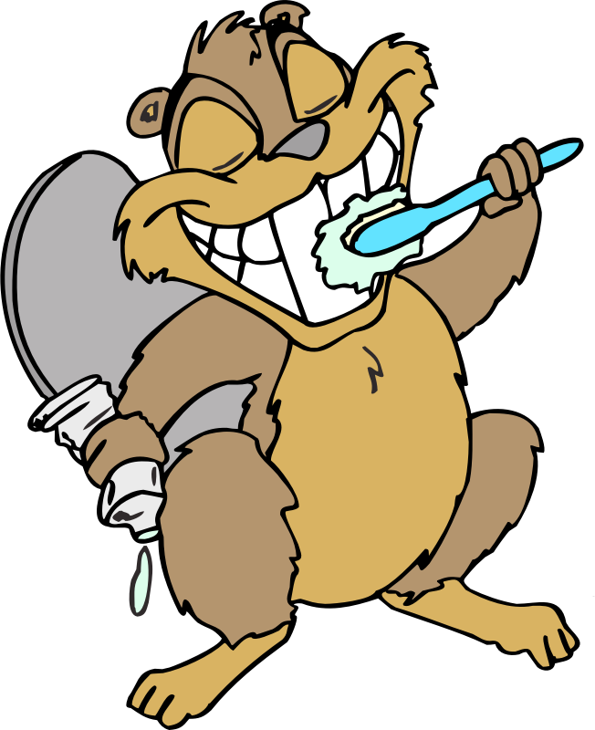 Beaver brushing teeth