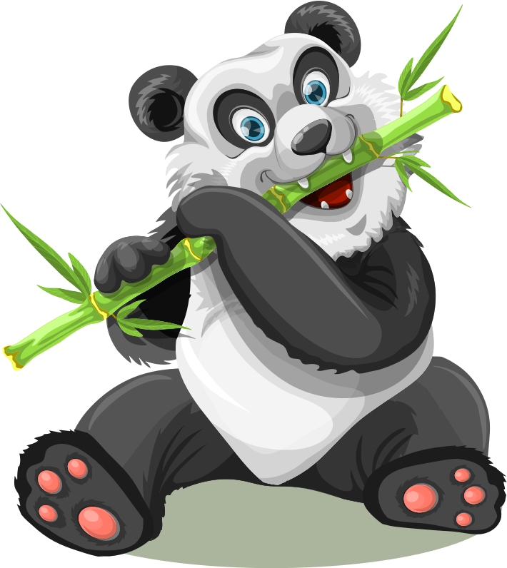 Panda eating bamboo