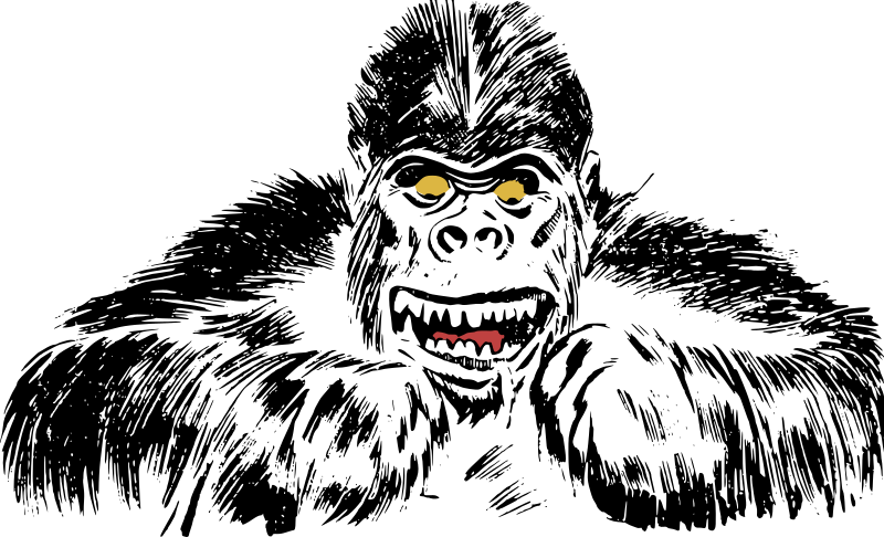 Gorilla