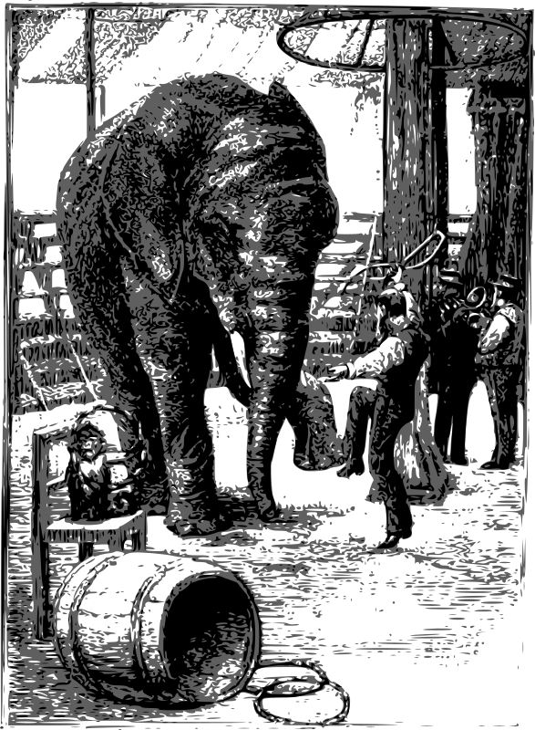 Animal Trainer